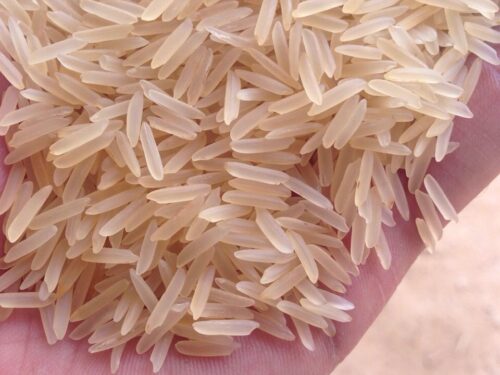 India_golden_basmati_rice India golden sella rice (basmati)