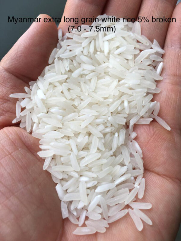 Myanmar extra long grain white rice