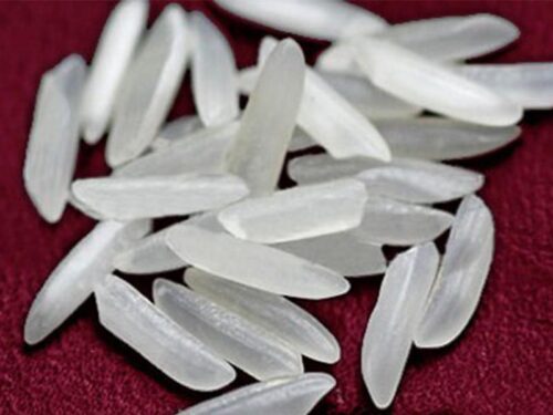 PK-386_Long_Grain_Rice_1 Pakistan 386 Long Grain Rice