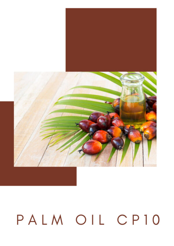 Palm_oil_CP10 Palm oil CP10