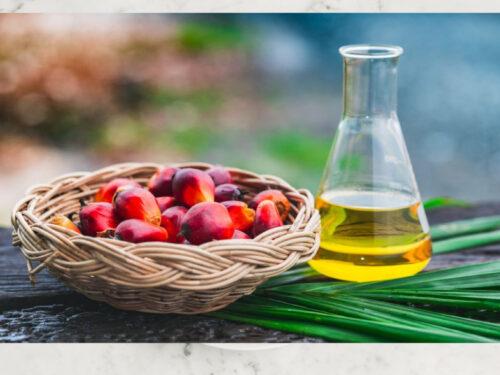 Palm oil CP8 origin