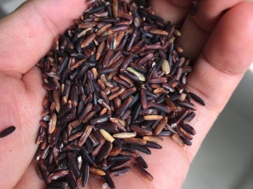 Thai_Berry_rice Thai Berry Rice