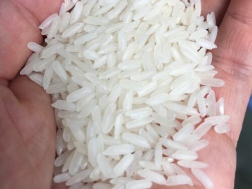 Thai_fragrant_jasmine_rice Thai Pathumthani Fragrant Rice