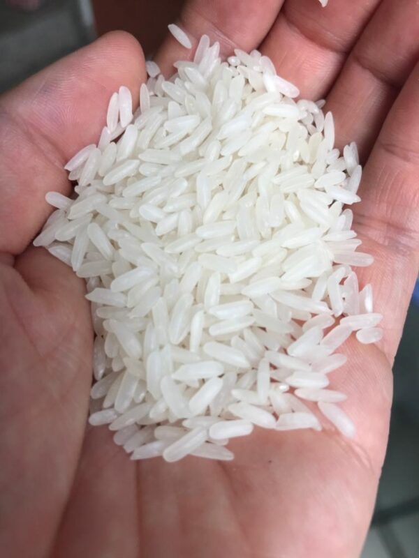 Thai_fragrant_jasmine_rice Thai Hom Mali (Jasmine) Rice