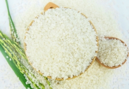 gao-japonica-718897322266_262x180 Vietnam Japonica rice