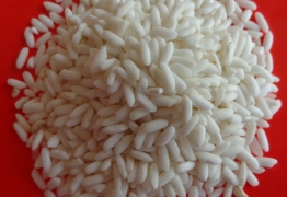 gao-nep-long-an-177741036319_262x180 Long An glutinous rice