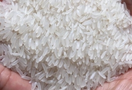gao-thom-long-lai-viet-nam-st21-433970120831_262x180 Vietnam Fragrant Rice ST21