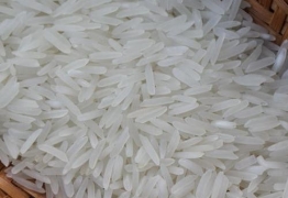 gao-trang-viet-nam-hat-dai-4900-996240236366_262x180 Vietnam Long grain white rice 4900