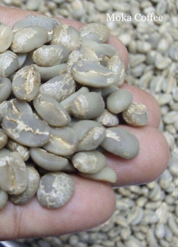 moka (1) MOKA COFFEE