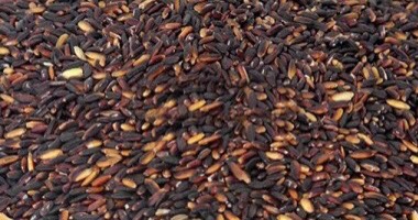thai_black_glutinous_rice Thai Black Glutinous Rice
